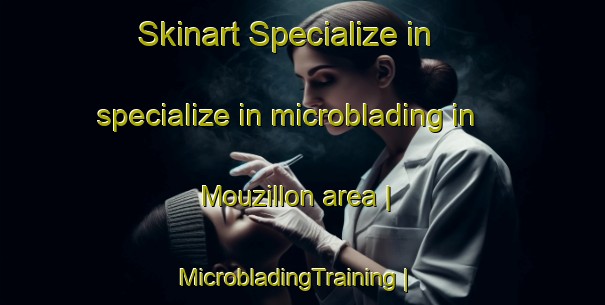 Skinart Specialize in specialize in microblading in Mouzillon area | MicrobladingTraining | MicrobladingClasses | SkinartTraining-France